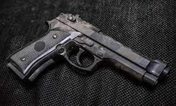 Gobierno prorrogó medidas para la suspensión general de permisos para el porte de armas de fuego