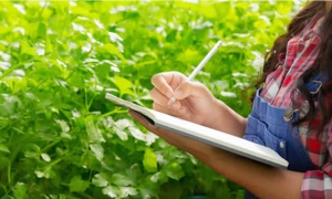 Proyecto de norma del ICA establece los requisitos para el registro de biológicos, reactivos y kits de diagnóstico para uso veterinario