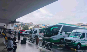 Concepto del Mintransporte sobre la renovación y reposición de vehículos de transporte público en ocasión de las consecuencias de la pandemia del COVID 19