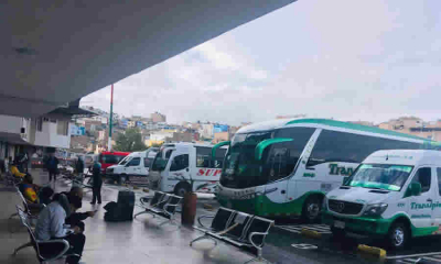 Concepto del Mintransporte sobre la renovación y reposición de vehículos de transporte público en ocasión de las consecuencias de la pandemia del COVID 19