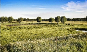 Senadores presentan Proyecto de Ley para la formalización de la propiedad de tierras rurales en Colombia