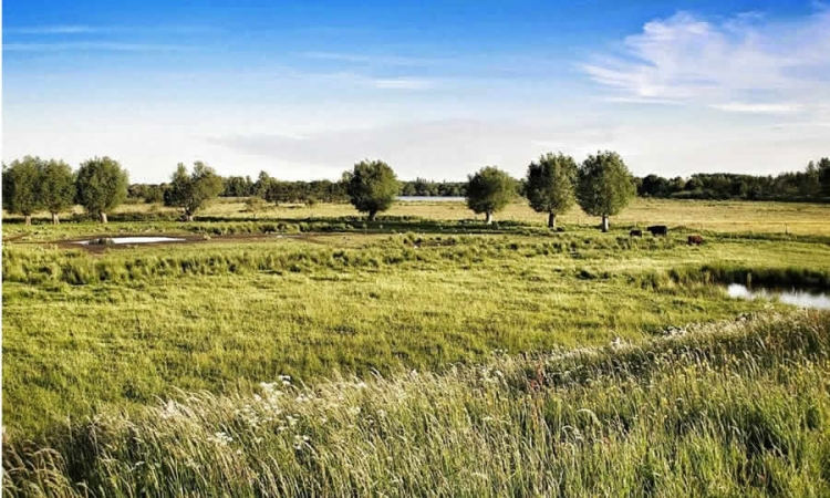 Senadores presentan Proyecto de Ley para la formalización de la propiedad de tierras rurales en Colombia