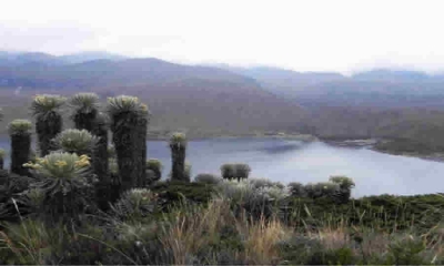 Publicado documento CONPES que busca la declaración de importancia estratégica del proyecto “Saneamiento de la cuenta Otún-Consota”