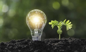 Disponible ponencia para primer debate al proyecto por el cual se crea el sello de producción limpia que establece mecanismos para mejorar la eficiencia energética y la implementación de Fuentes No Convencionales de Energía Renovable