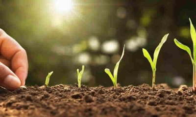 ADR modificó disposiciones relacionadas con las capacidades productivas, socio empresariales y organizacionales a familias productoras de café de Támesis, en Antioquia