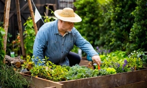 FINAGRO define Plan Indicativo de Crédito Agropecuario y Rural para el Año 2021