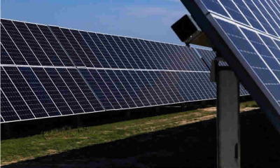 ANLA aprobó Licencia Ambiental para Proyecto de Transmisión de Energía Solar en Santander