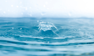 MinAmbiente explica los objetivos y alcances de la Agenda ABC sobre agua, biodiversidad y comunidades; este es el texto