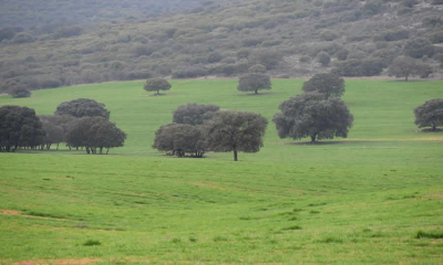 Las CAR’s están obligadas a tramitar licencias ambientales ante ANLA para obras bajo sus Planes de Acción: MinAmbiente