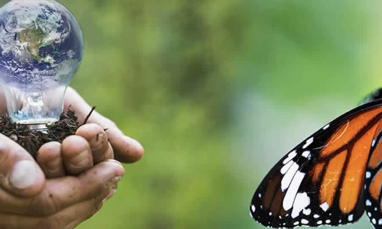 MinAmbiente: no hay una norma que imponga a las administraciones departamentales y municipales crear un comité de gestión ambiental