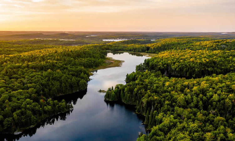 Concepto de la SDA sobre las normas vigentes de acotamiento del río Tunjuelo, ante la suspensión de la Resolución que aprobó la modificación del curso del Río y delimitó su corredor ecológico