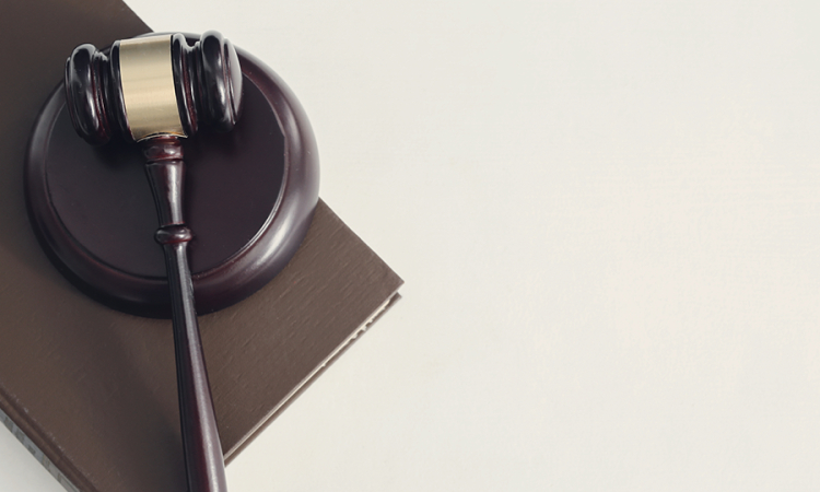 Consejo de Estado aclara reglas sobre áreas protegidas y limita responsabilidad del Estado por restricciones al uso del suelo