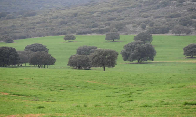 Estas son las últimas siete resoluciones de MinAgricultura sobre Áreas de Protección para la Producción de Alimentos (APPA) y conservación de suelos rurales