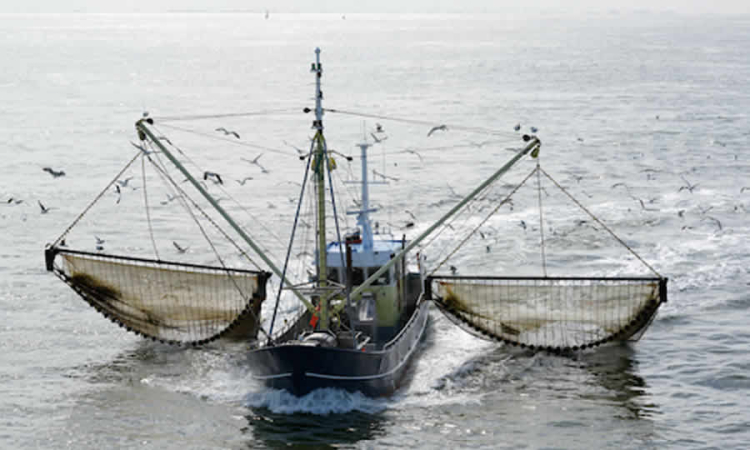 Proyecto de decreto busca reglamentar el reconocimiento y formalización de los Ecosistemas Acuáticos Agroalimentarios (EAA), como territorialidad campesina y de pesca artesanal