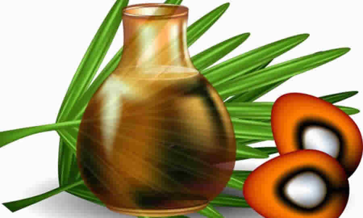 Proyecto de norma de MinAgricultura busca modificar la composición del Comité Directivo del Fondo de Estabilización de Precios para el Palmiste, el Aceite de Palma y sus fracciones