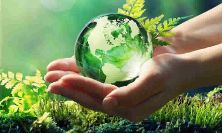 A consideración del Conpes la recuperación de la selva amazónica y territorios hídricos, impulsando bioeconomía y sostenibilidad en Colombia