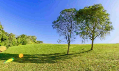 Cuidado de zonas verdes por particulares es válido, pero con límites legales: MinAmbiente