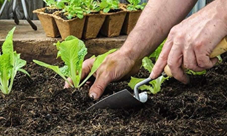 ADR explicó cuál es el término que Entidad debe conservar las iniciativas recibidas en el marco de las convocatorias de PIDAR