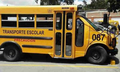 Directrices sobre normativas y vigilancia en el servicio de transporte escolar para garantizar seguridad y cumplimiento