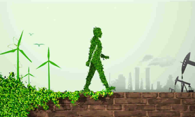 Publicado Pacto por la Transición Energética Justa en La Guajira (TEJ)