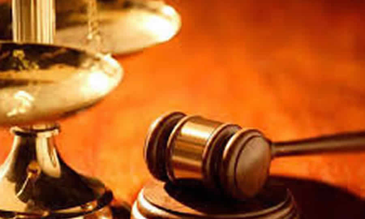 Consejo de Estado analizó la naturaleza jurídica de los actos que se profieren en ejercicio de las prerrogativas unilaterales pactadas en los contratos regidos por el derecho privado