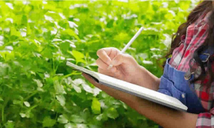 A comentarios proyecto de MinAgricultura que busca que la ANT se encargue de planear, formular y estructurar proyectos que promuevan el acceso a la tierra como un factor productivo