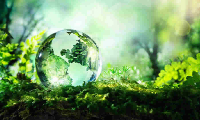 SDP explicó el régimen de transición para la protección de la estructura ecológica y parques en Bogotá