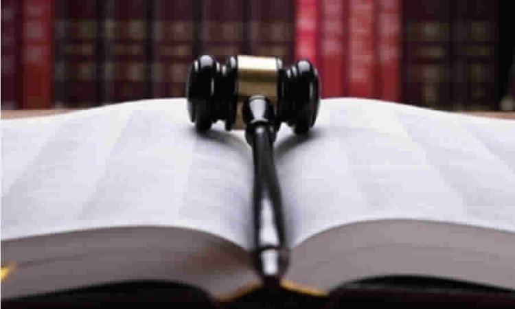 Consejo de Estado levanta reserva de concepto que fija reglas sobre la entidad competente para resolver impedimentos de curadores urbanos