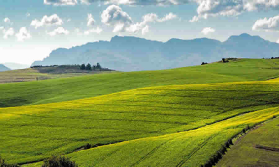 MinAgricultura busca adoptar nuevo manual de normas técnicas básicas para proyectos de adecuación de tierras; Fija criterios jurídicos, técnicos y ambientales para proyectos, priorizando suelo y agua