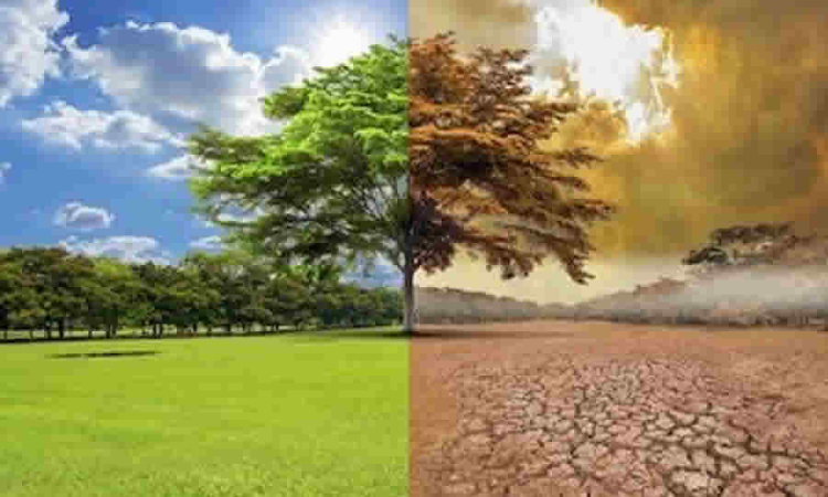 soporte jurídico de la ANLA para la imposición de la obligación mínima de cambio climático durante las etapas de evaluación y seguimiento ambiental de proyectos licenciados