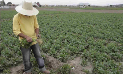 ADR examinó la limitación en la constitución de Zonas de Reserva Campesina (ZRC) en áreas con uso y vocación urbana