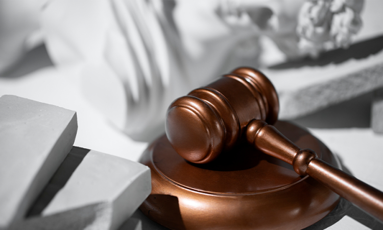 Consejo de Estado negó nulidad del acto de Emcali E.S.P., a través del cual hizo un nombramiento en el empleo “Asesor de Gerencia General”, dado que no es contrario a las disposiciones adoptadas por su Junta Directiva