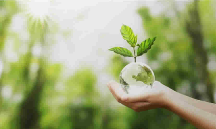 MinCiencias abrió hasta el 6 de septiembre convocatoria de la asignación del SGR para la conformación de un listado de proyectos para aprovechar el conocimiento, conservación y uso sostenible de la biodiversidad y los bienes