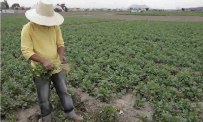 Gobierno modificó parcialmente el Arancel de Aduanas para la importación de insumos agropecuarios, con el fin de controlar presiones alcistas
