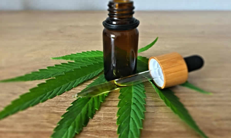 Colombia impulsa la transición energética en el agro con la primera granja solar para cannabis medicinal