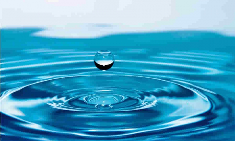 ¿Cuándo son obligatorios los Documentos Tipo en licitaciones de agua potable y saneamiento básico?: Colombia Compra responde