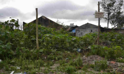 No hay lugar a adoptar medidas para la recuperación de minas que se hallan en baldíos Ilegalmente ocupados: ANM